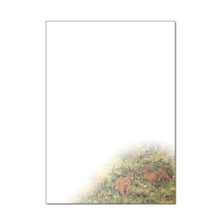 Brief- und Computerpapier