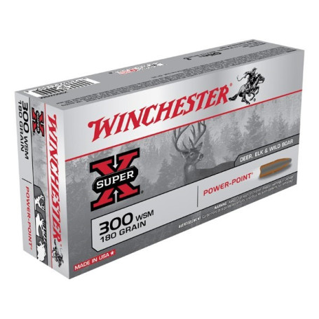 Winchester .300 WSM Super-X Power Point