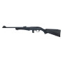 Ruger 10/22 Takedown .22lr Satin Black