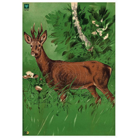 Spiegel für DJV-Scheibe Nr.1