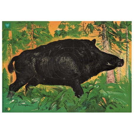 Spiegel für DJV-Scheibe Nr.2