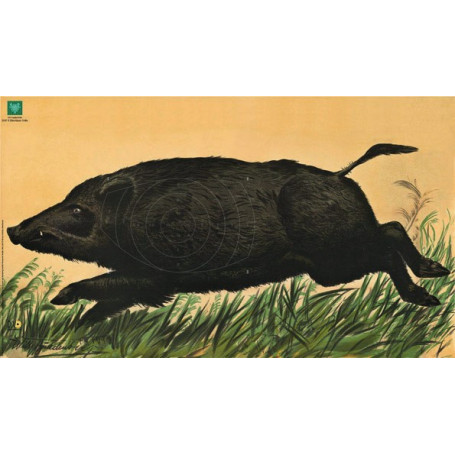 Spiegel für DJV-Scheibe Nr.6