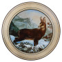 Ehrenscheibe Gams im Wechselrahmen 50 cm