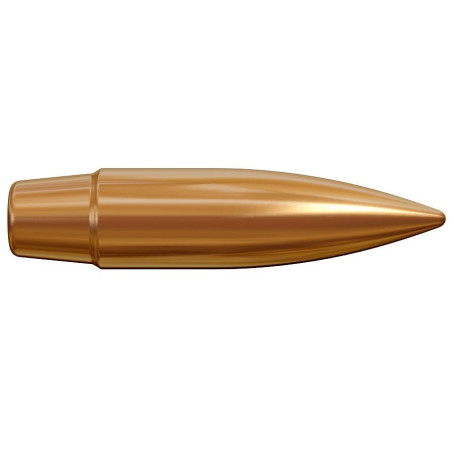 Lapua Geschosse D46 FMJBT .30