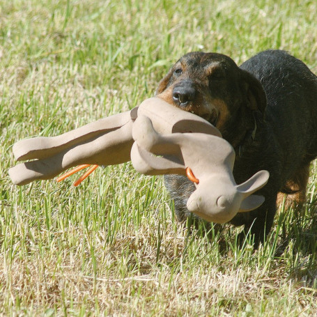 Waidwerk Apportier-Kaninchen