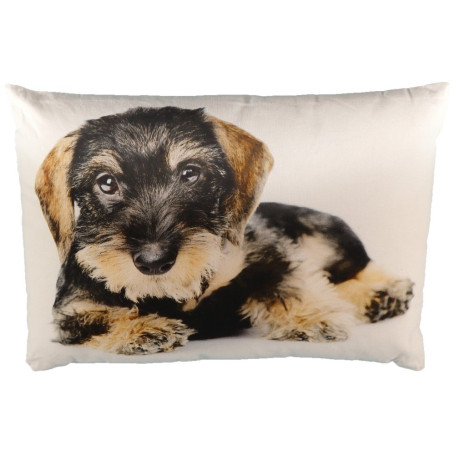 Kissen Dackel 50x35 cm