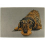 Fussmatte Dackel mit Brille 75x50 cm