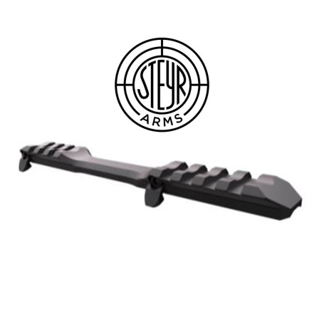 STEYR ARMS Picatinny-Schiene