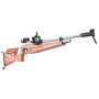 Feinwerkbau LG P75 Sommerbiathlon