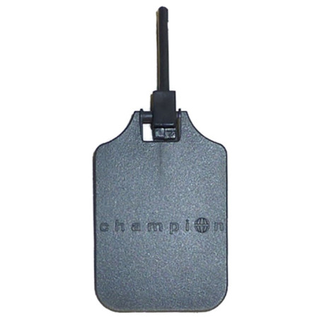 champion cache-oeil ISSF gris