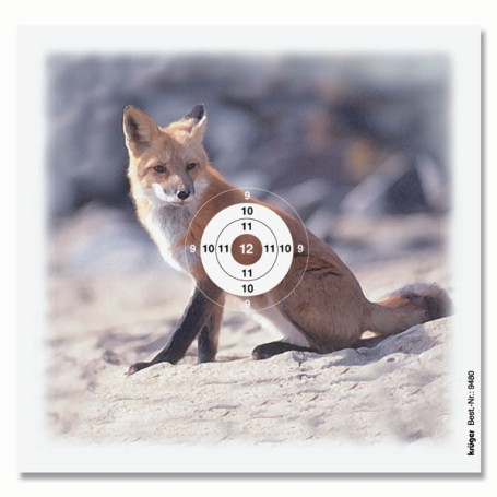 Ausbildungsscheiben Fuchs