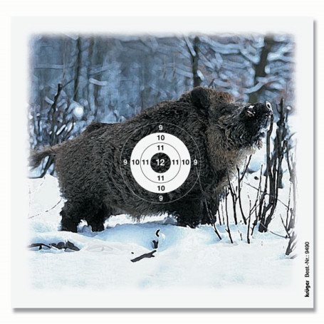 Ausbildungsscheiben Wildschwein