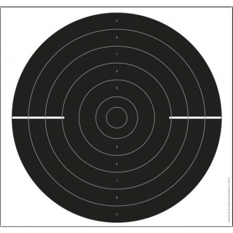 P-Schnellfeuerscheibe SSV, 25m