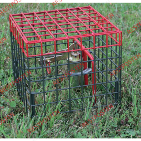 Kieferle Sicherheitskorb für W2