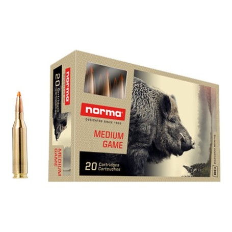 Norma .243 Win Tipstrike 4.9 g 76 gr
