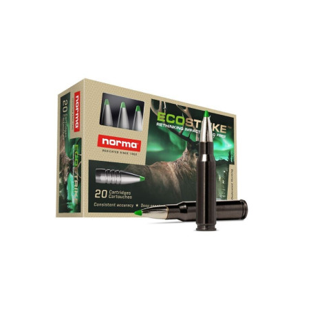 Norma .308 Win Ecostrike Silencer 9.7 g