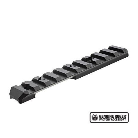 Ruger Picatinny Rail