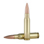 Federal .308 Win Gold Medal 175 gr