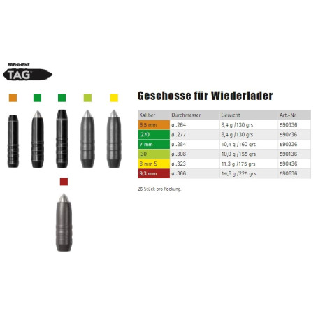 Brenneke Geschosse TAG 9.3 mm 14.6 g