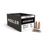 Nosler Accubond .308 10.7 g 165 gr