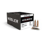 Nosler Accubond 6 mm 5.8 g 90 gr