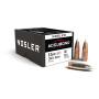 Nosler Accubond 9.3 mm 16.2 g 250 gr