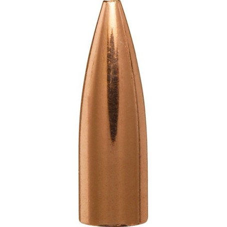 BERGER Geschosse .22 FB Target