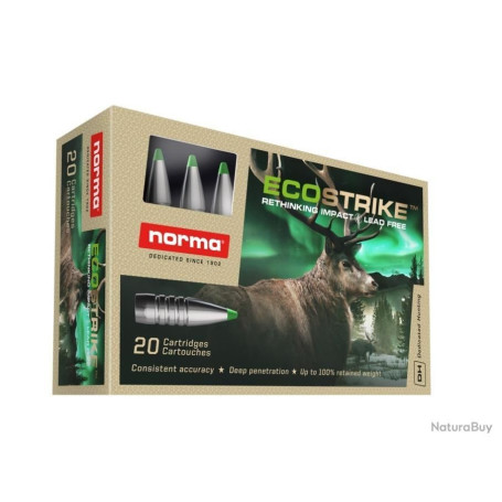 Norma 9.3x62 Ecostrike 16.2 g 250 gr