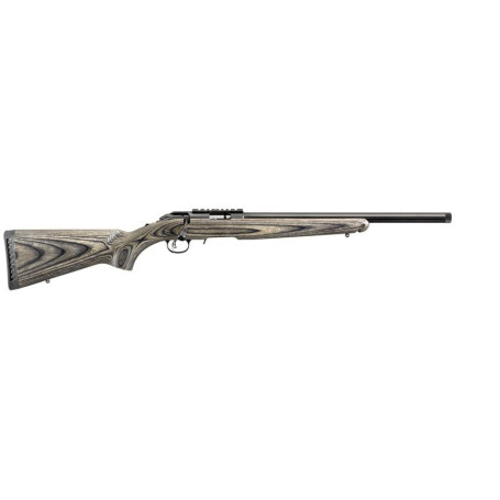 Ruger American Rimfire Target .22lr