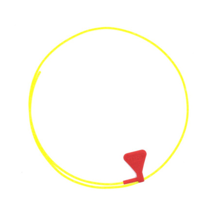 Pardini Safety Air Rifle Flag