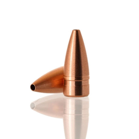 Cutting Edge .224 Raptor 32 gr