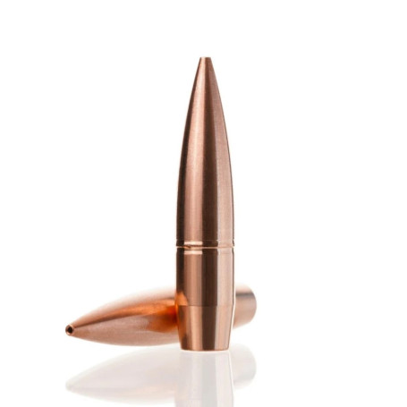 Cutting Edge .416 SF - MTH  V08 444 gr