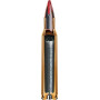 Hornady .223 Rem Superformance 35 gr NTX