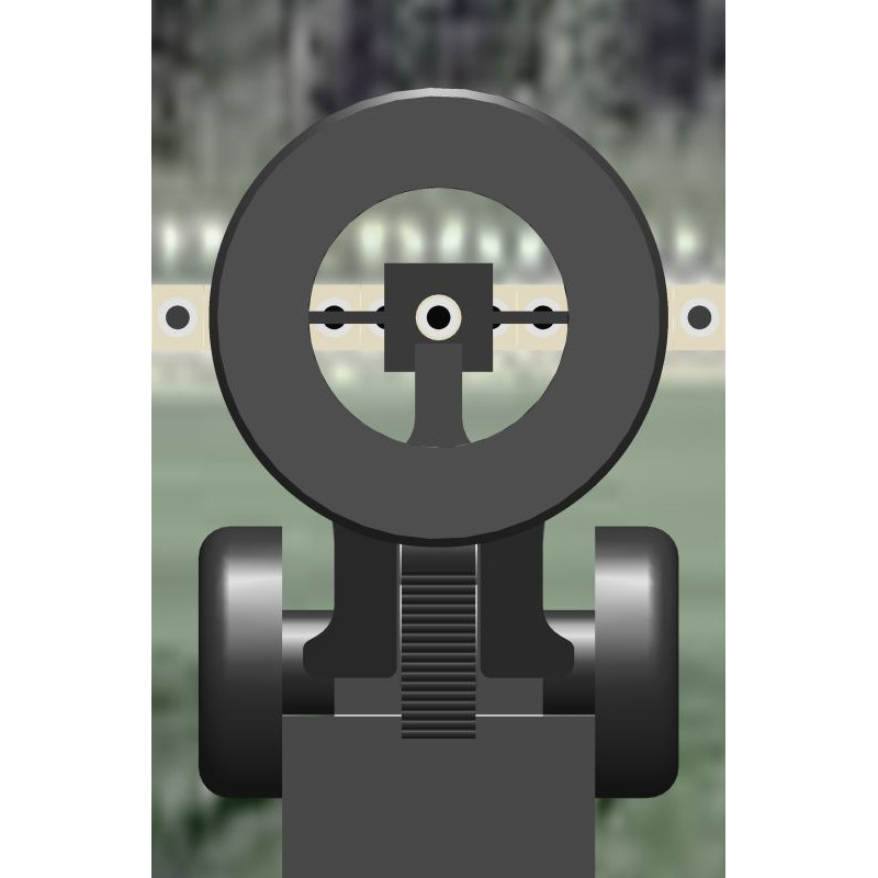 g-e-stgw-90-square-ringkorn