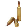 Remington .22-250 Rem. PSP 55 gr 3.56 g