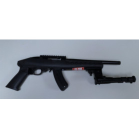 Ruger Charger .22 lr