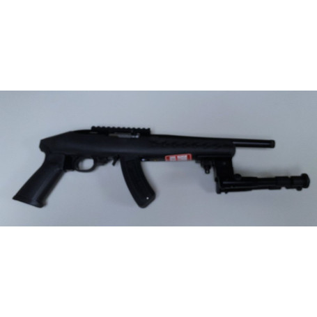 Ruger Charger .22 lr