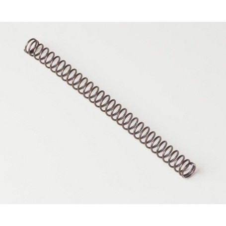 Arma Zeka Recoil spring