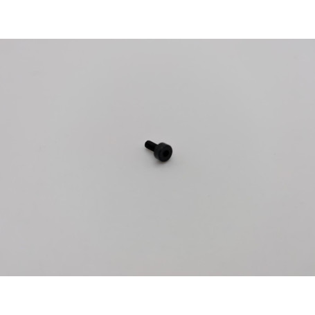 Tanfoglio Schraube für Multidot Platte