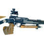 Pardini Kleinkalibergewehr FR22